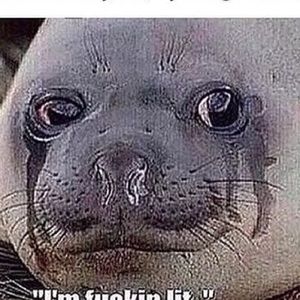 Meet your Posher, Joseph